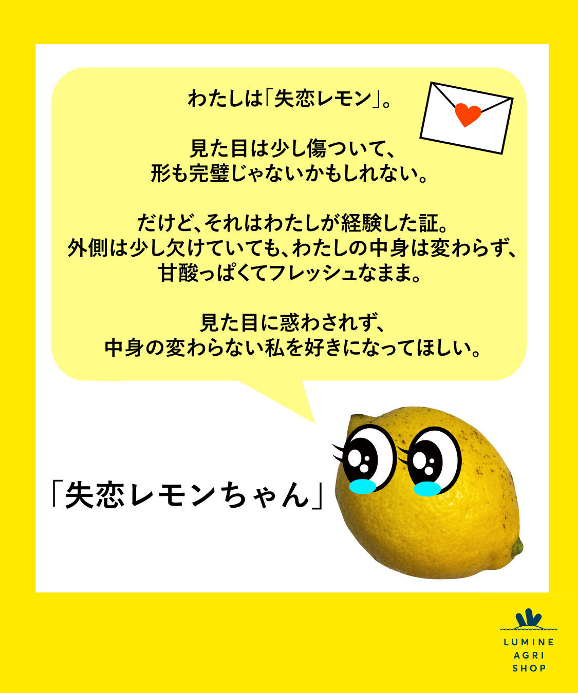 LUMINE AGRI SHOP「【のびのび応援便】稲角さん家の失恋レモン」|果物・野菜|