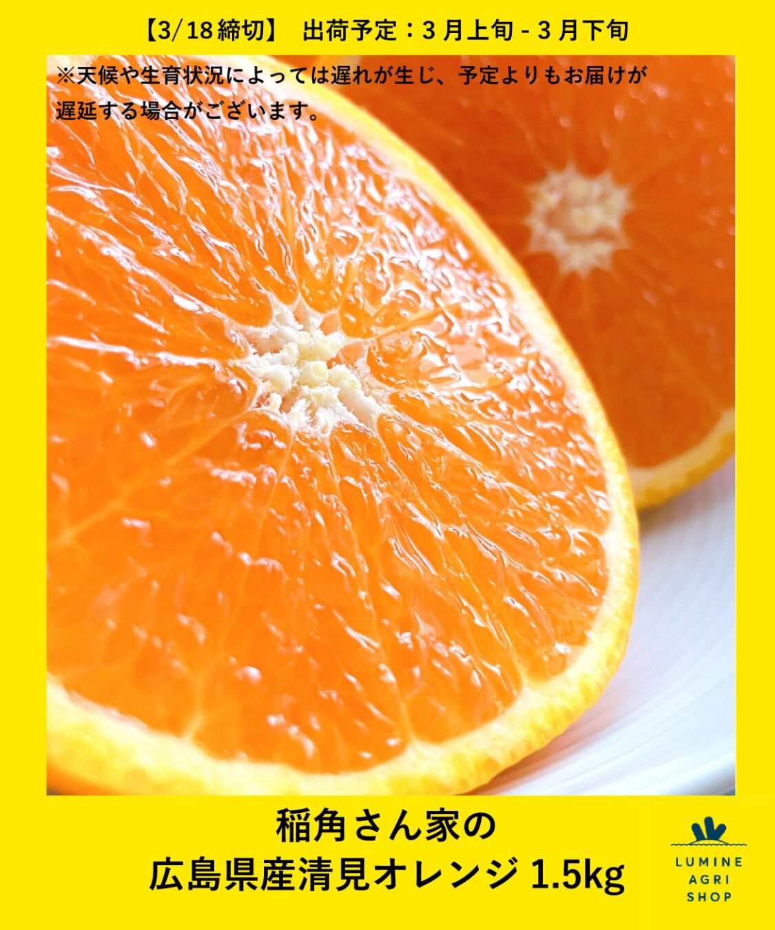 LUMINE AGRI SHOP「稲角さん家の広島県産清見オレンジ1.5kg」|果物・野菜|その他