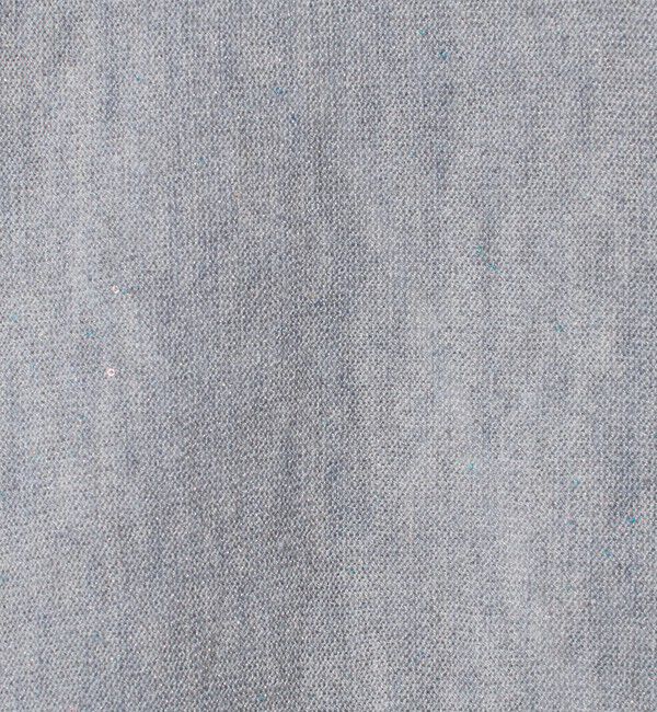 UNITED ARROWS green label relaxing「スパンコール プルオーバー ニット」|ニット・セーター|