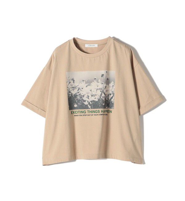 SHIPS for women「【SHIPS別注】81BRANCA:フォト ワイド TEE」|Tシャツ・カットソー|