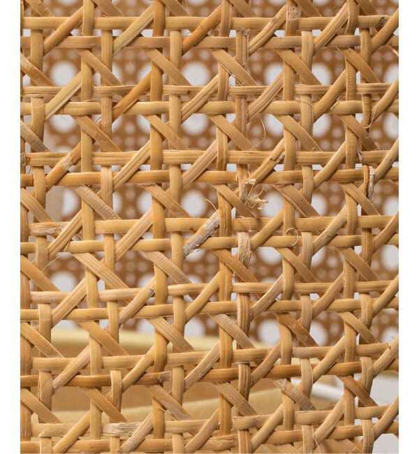 journal standard Furniture「DAFNE CEILING LAMP ダフネ シーリングランプ」|その他|