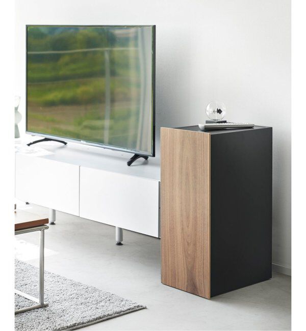 journal standard Furniture「《WEB限定予約》【tower/タワー】ゲーム機収納ラック」|その他|