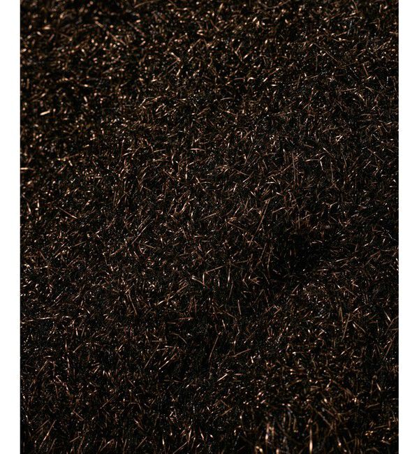 SALON adam et rope'「マットメタルシャギーベスト」|ベスト・ジレ|