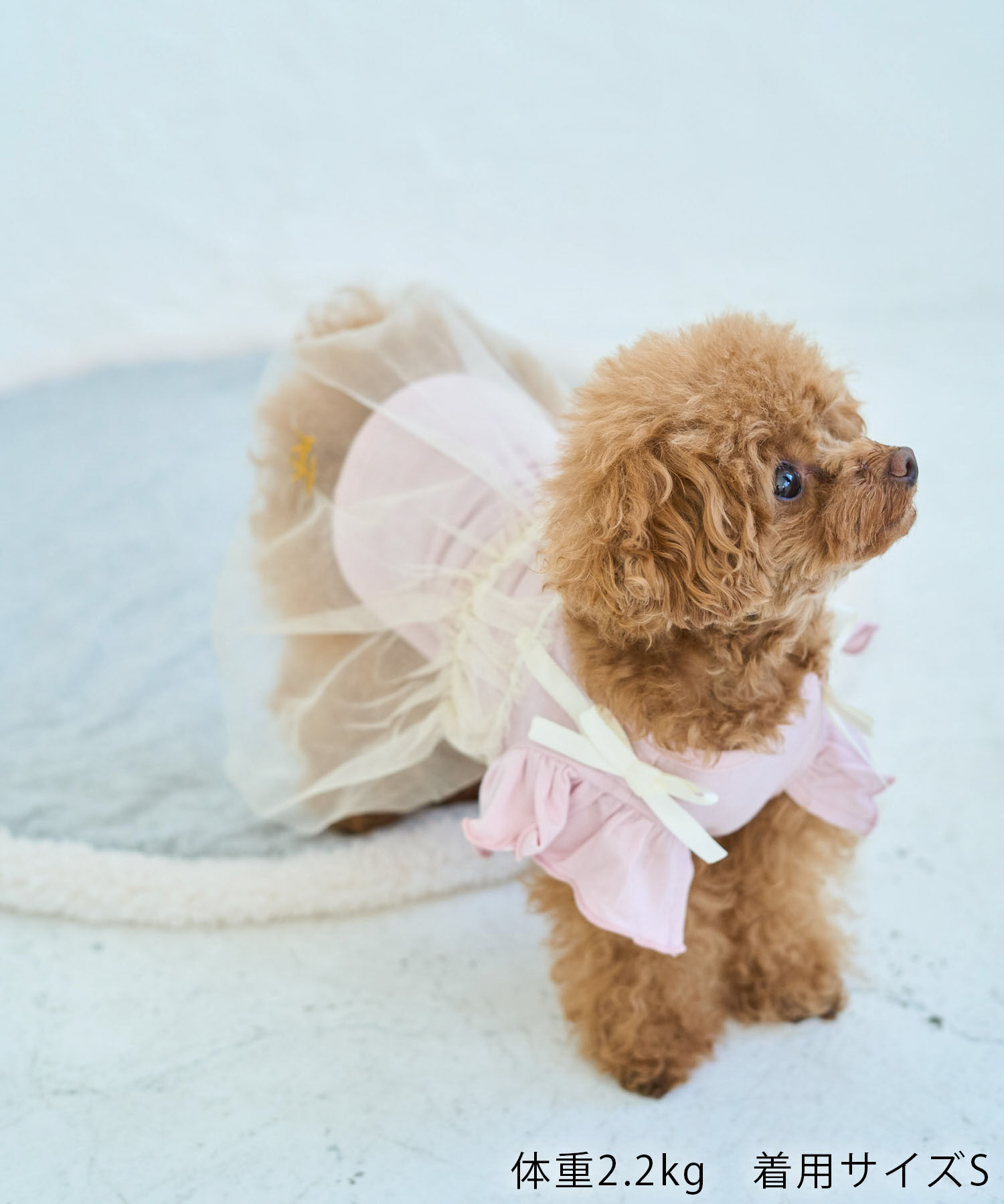 ROPE PICNIC PASSAGE「【DOG】キャミチュールドッキングワンピース」|その他|