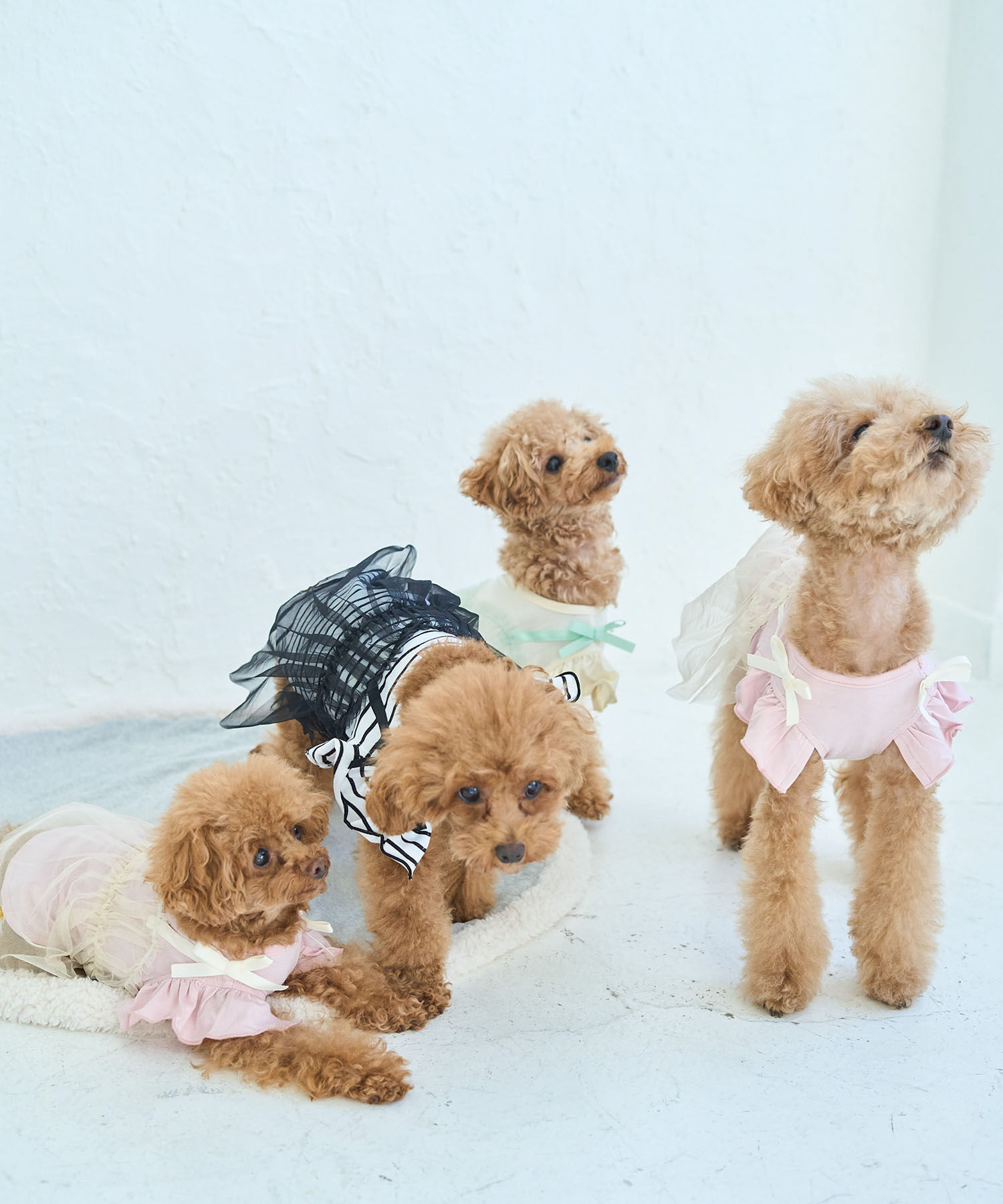 ROPE PICNIC PASSAGE「【DOG】キャミチュールドッキングワンピース」|その他|