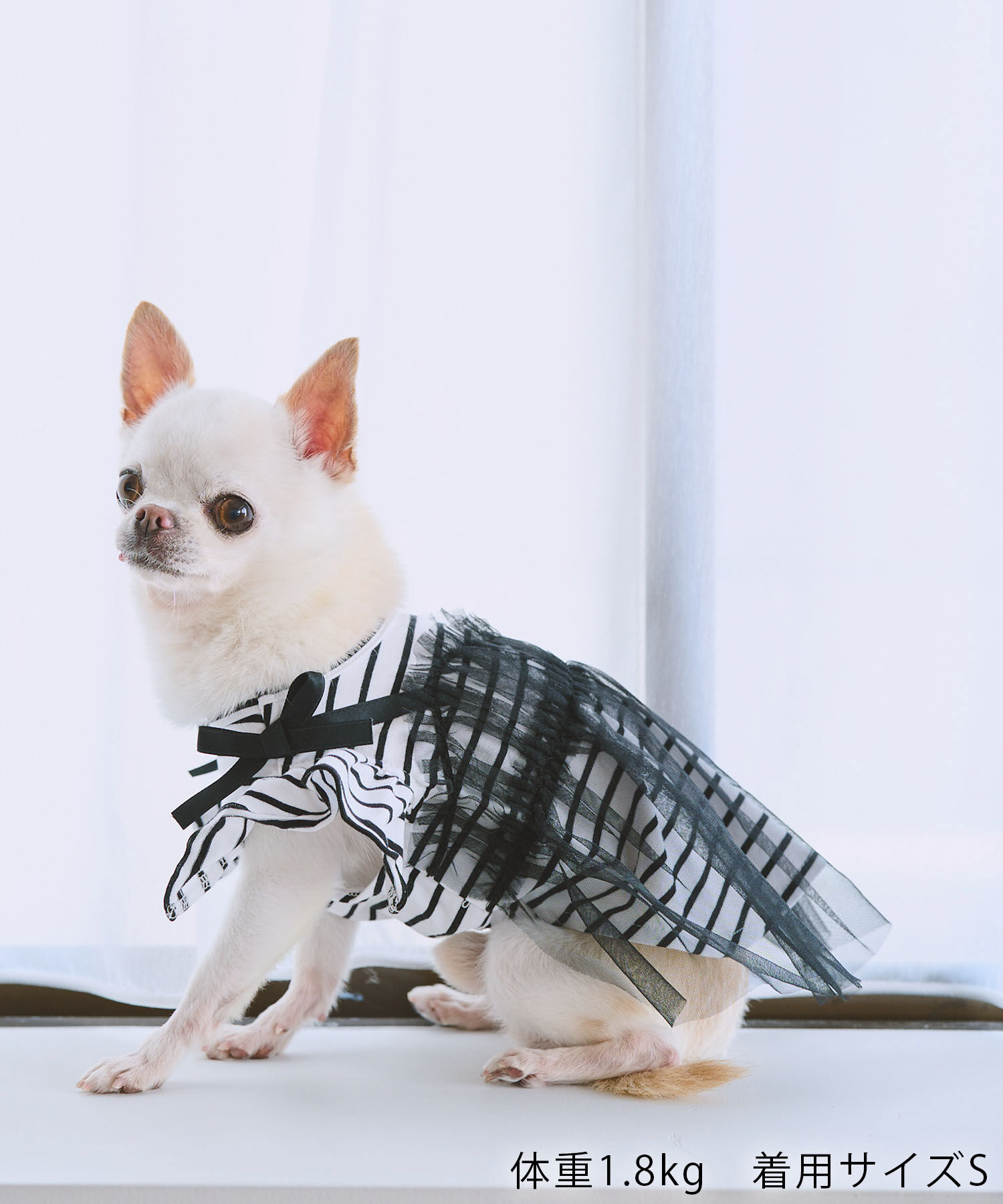 ROPE PICNIC PASSAGE「【DOG】キャミチュールドッキングワンピース」|その他|