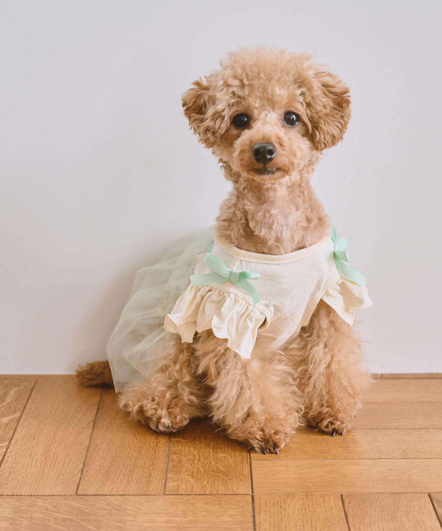 ROPE PICNIC PASSAGE「【DOG】キャミチュールドッキングワンピース」|その他|キミドリ(34)