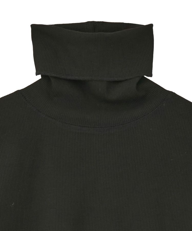 earth music&ecology「リブタートルネックプルオーバー」|Tシャツ・カットソー|