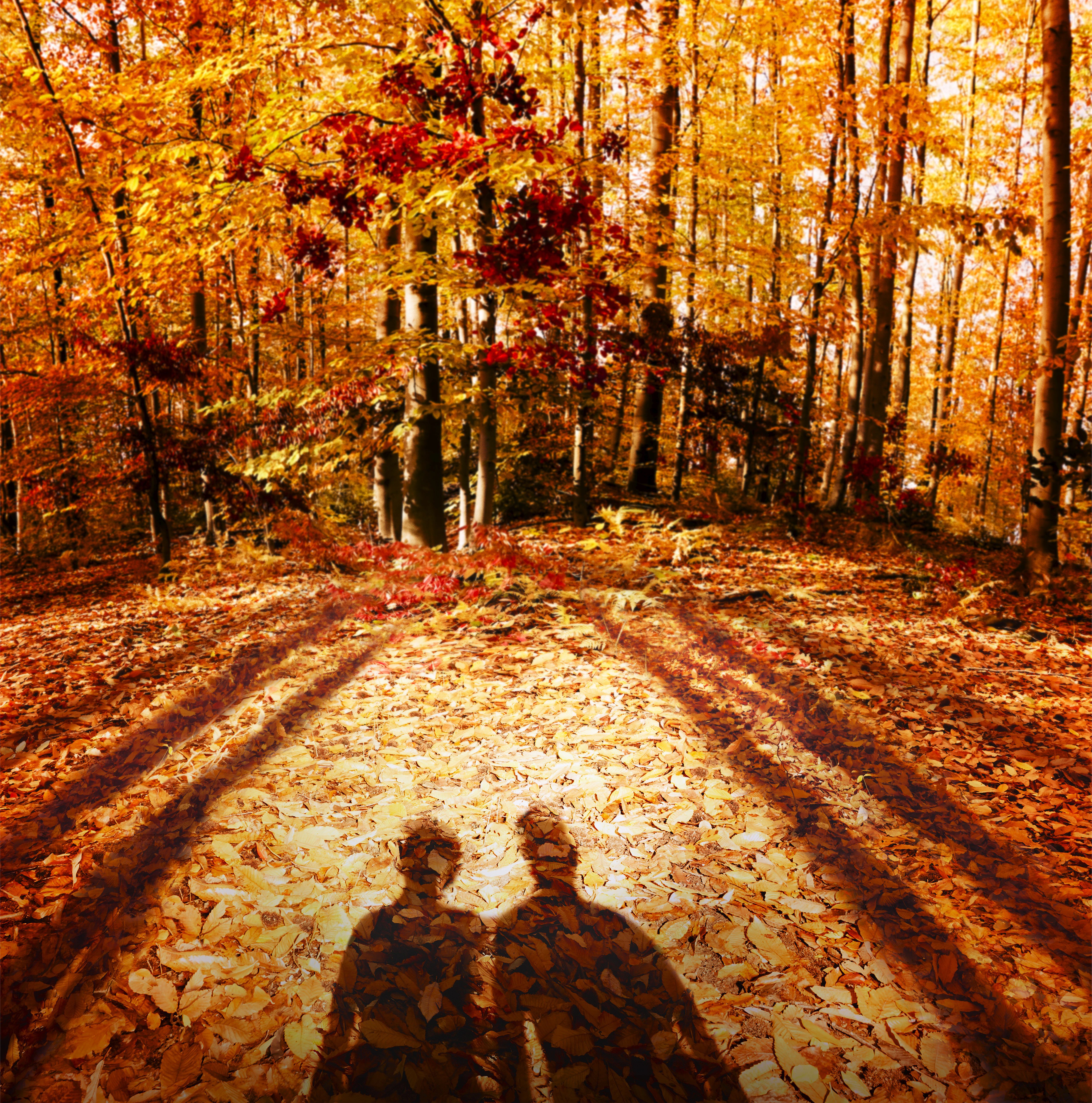 Maison Margiela&rsquo;REPLICA&rsquo;Fragrances「レプリカ　オードトワレ　オータム　バイブス 30ml　森林の紅葉と歩道の香り」|香水・フレグランス|