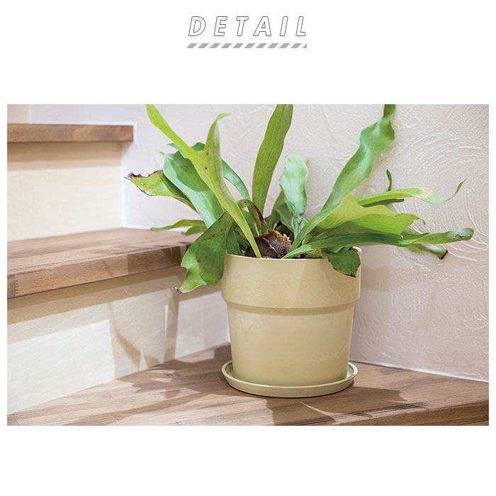 BACKYARD FAMILY「植木鉢 プラスチック おしゃれ 6号 通販 鉢カバー 6号鉢 プランター プランターカバー 植木」|その他|