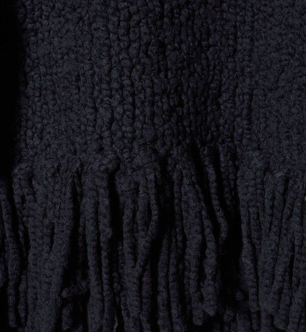 BEAUTY&YOUTH UNITED ARROWS「【別注】＜IRONING＞フリンジ ニットプルオーバー」|ニット・セーター|