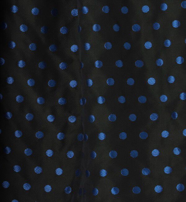 NOLLEY'S「ウォッシャブルドットジャガードタックフレアスカート」|スカート|