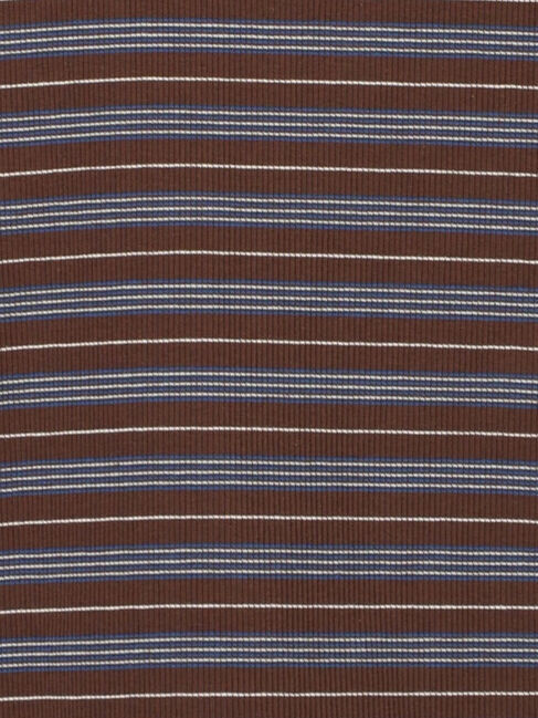 Samansa Mos2 blue「マルチボーダータンク」|Tシャツ・カットソー|