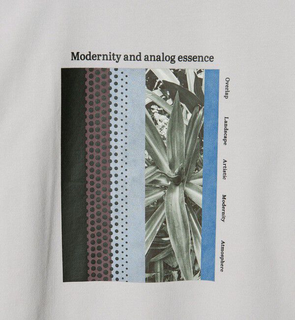 UNITED ARROWS green label relaxing「＜Phospho Graphica＞フレンチ ロングスリーブ Tシャツ スウェット」|スウェット・ジャージ|