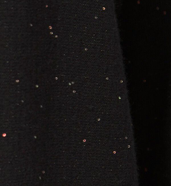 UNITED ARROWS green label relaxing「スパンコール プルオーバー ニット」|ニット・セーター|