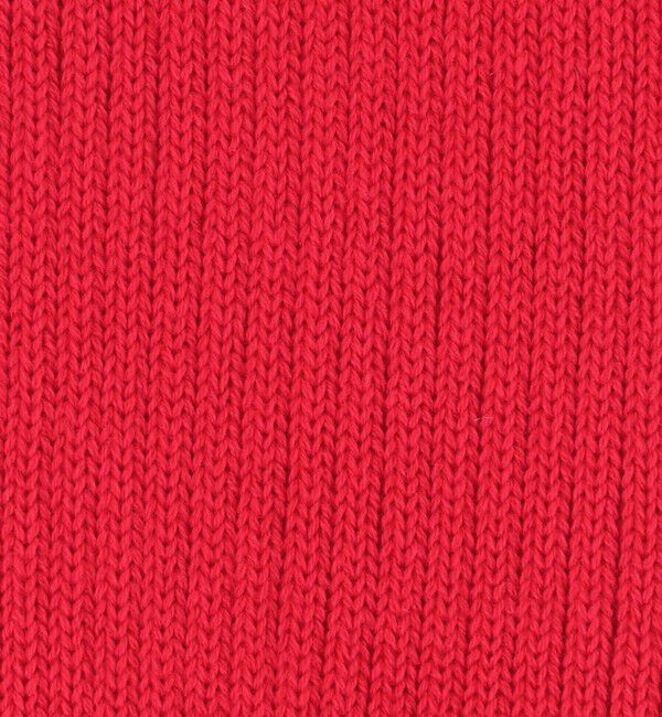 BEAUTY&YOUTH UNITED ARROWS「カラー リブ ソックス」|ソックス|