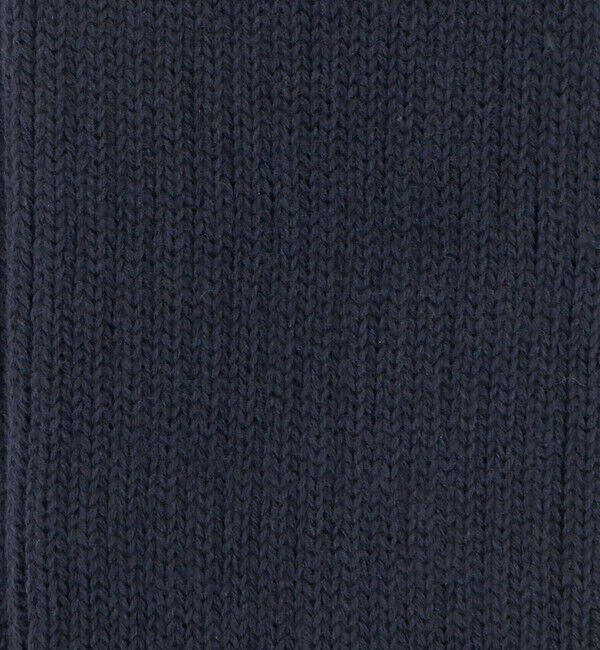 BEAUTY&YOUTH UNITED ARROWS「カラー リブ ソックス」|ソックス|