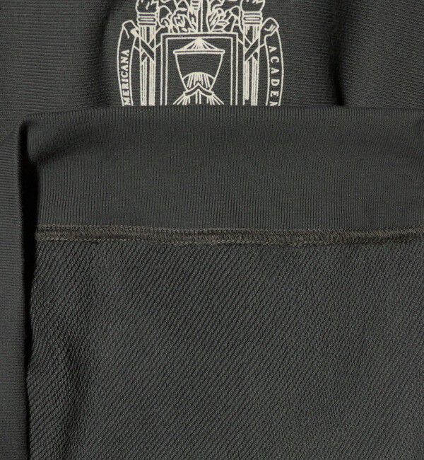 BEAUTY&YOUTH UNITED ARROWS「＜Americana＞ロゴスウェット プルオーバー」|スウェット・ジャージ|