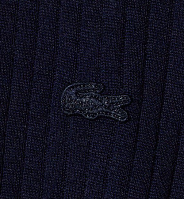 BEAUTY&YOUTH UNITED ARROWS「＜LACOSTE＞ポロカラーニットプルオーバー」|ニット・セーター|