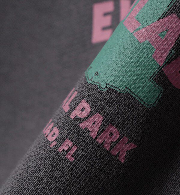 SHIPS any「【WEB限定】SHIPS any: NATIONAL PARK プリント スウェット 25AW(ユニセックス)◇」|スウェット・ジャージ|