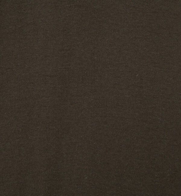 NOLLEY'S「ウォッシャブルシアーフライスロンT」|Tシャツ・カットソー|