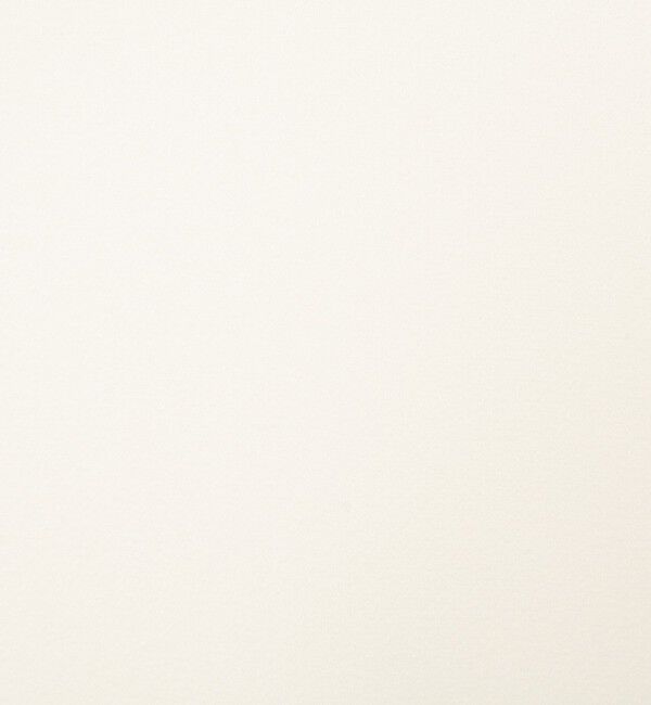 NOLLEY'S sophi「ウォッシャブルシアーオーガンジータートルネック」|Tシャツ・カットソー|