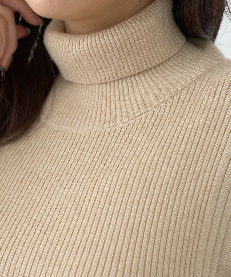 earth music&ecology「ラメタートルネックニットプルオーバー」|ニット・セーター|