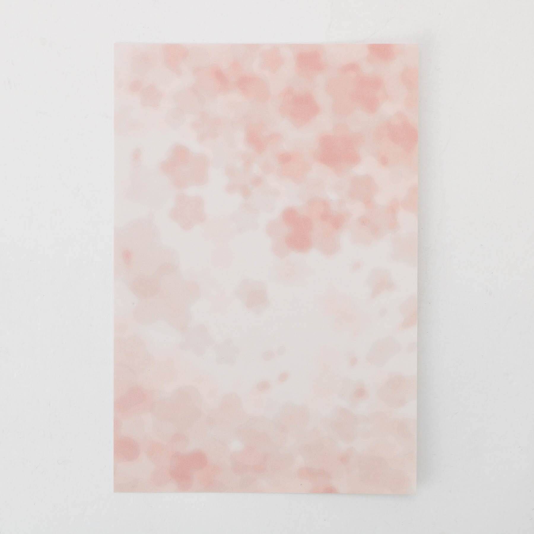 212 KITCHEN STORE「桜箸揃え」|食器・キッチングッズ|