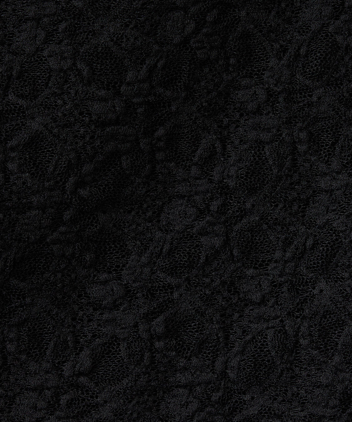 COCO DEAL「ストレッチレースオフショルトップス」|Tシャツ・カットソー|