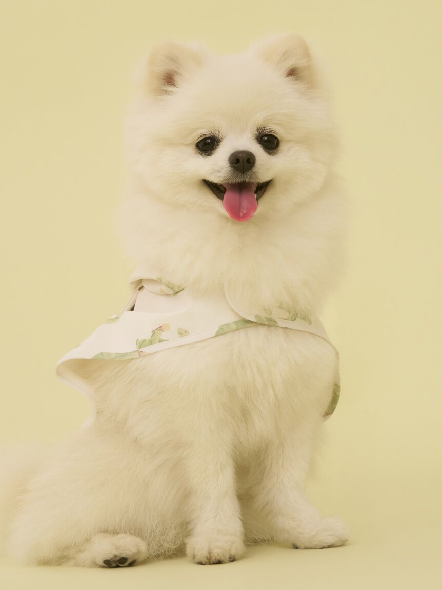  GELATO PIQUE CAT&DOG「【CAT&DOG】【販路限定商品】レインポンチョ」|その他|