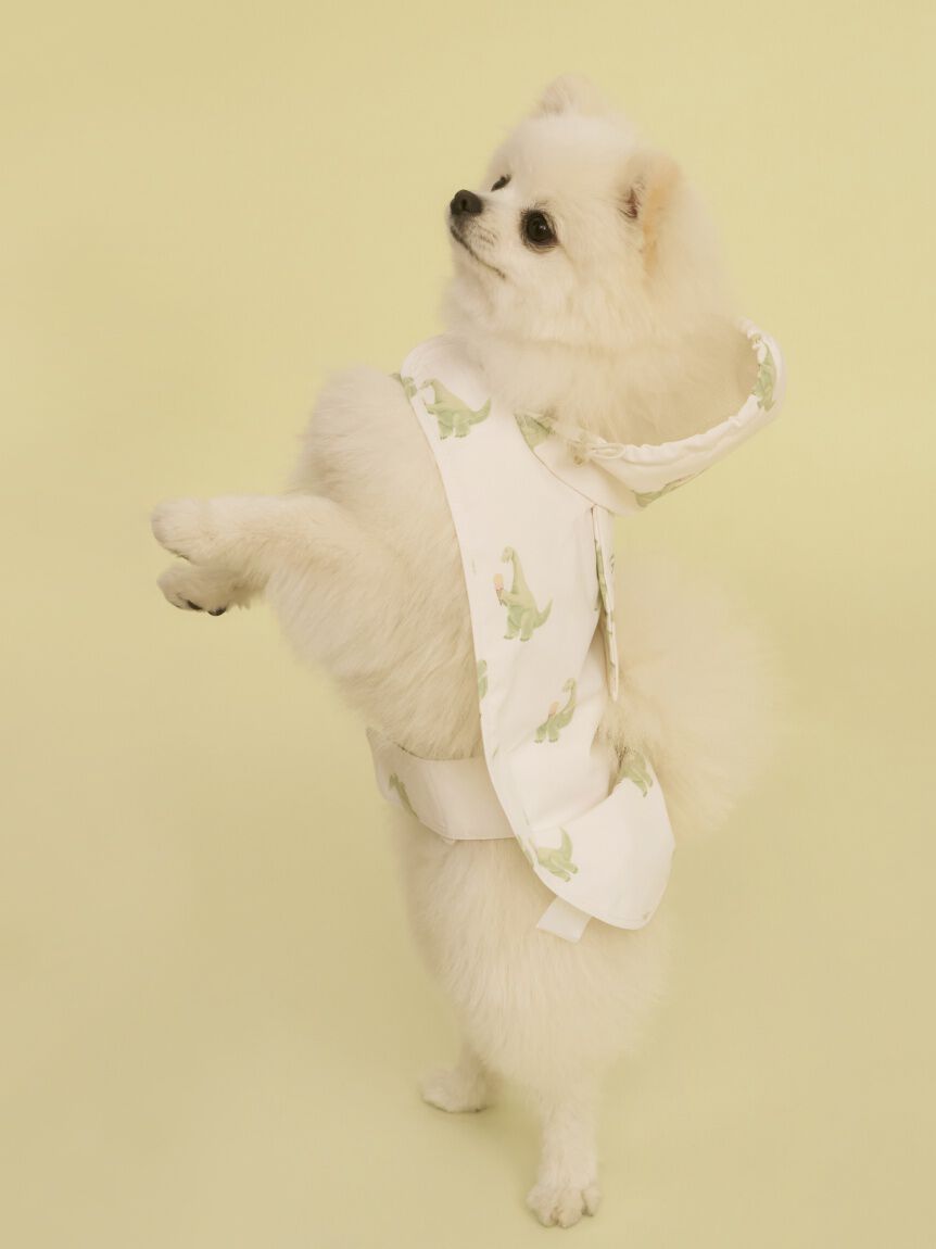  GELATO PIQUE CAT&DOG「【CAT&DOG】【販路限定商品】レインポンチョ」|その他|