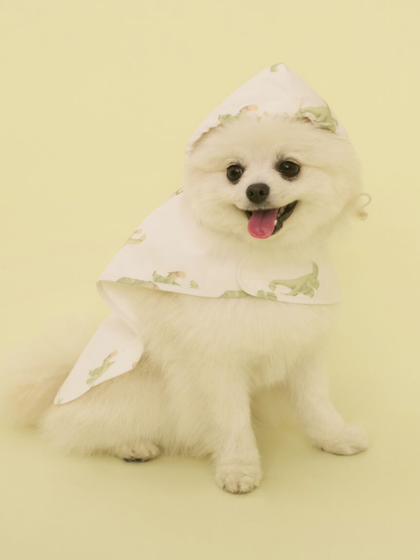  GELATO PIQUE CAT&DOG「【CAT&DOG】【販路限定商品】レインポンチョ」|その他|