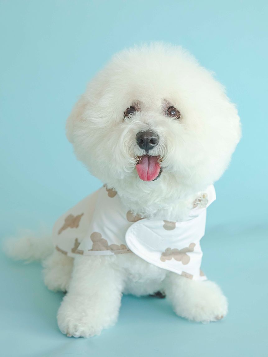  GELATO PIQUE CAT&DOG「【CAT&DOG】【販路限定商品】レインポンチョ」|その他|