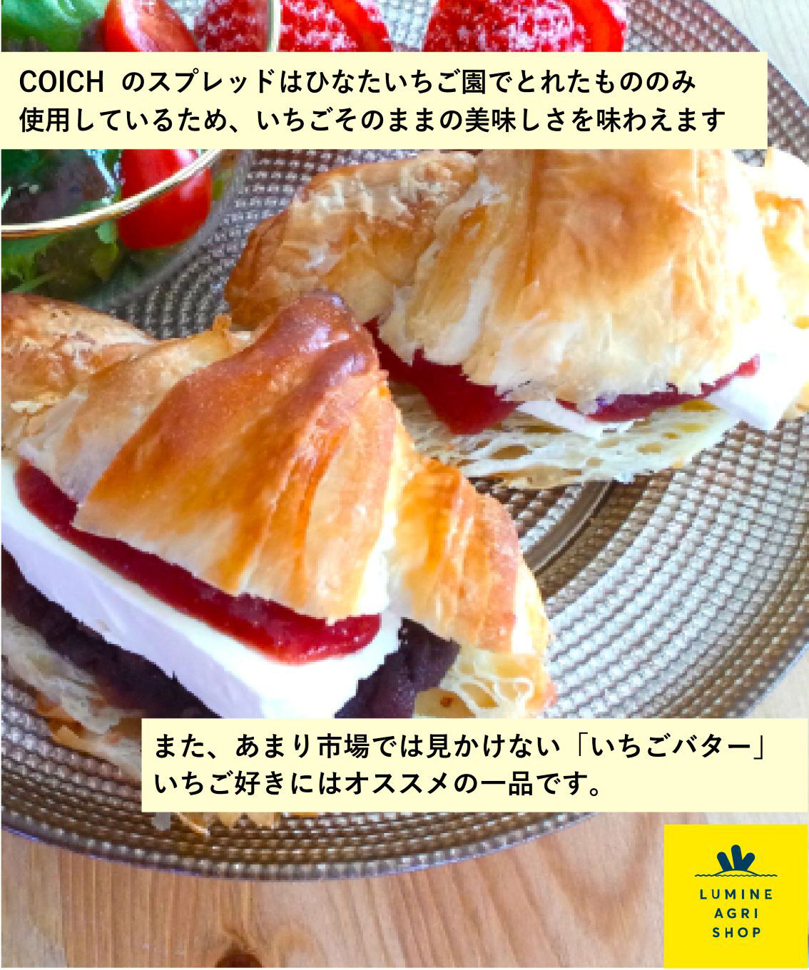 LUMINE AGRI SHOP「COICHスプレッド3点セット」|果物・野菜|
