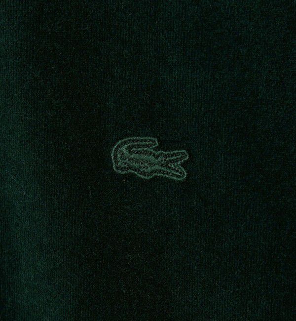 BEAUTY&YOUTH UNITED ARROWS「＜LACOSTE for BEAUTY&YOUTH＞ ベロア ポロシャツ」|Tシャツ・カットソー|