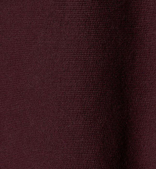 BEAUTY&YOUTH UNITED ARROWS「【別注】＜Champion＞ソリッドスウェットプルオーバー」|スウェット・ジャージ|