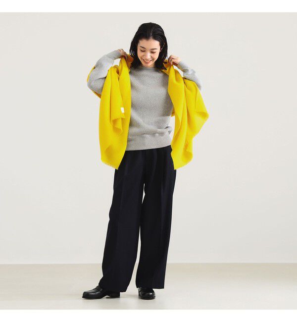 Demi-Luxe BEAMS 「AK+1 / 吊り裏毛 スウェット」|Tシャツ・カットソー|