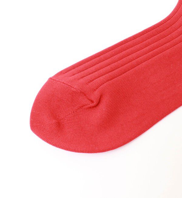 NOLLEY'S「【nolnol/ノルノル】ロゴリブソックス」|ソックス|