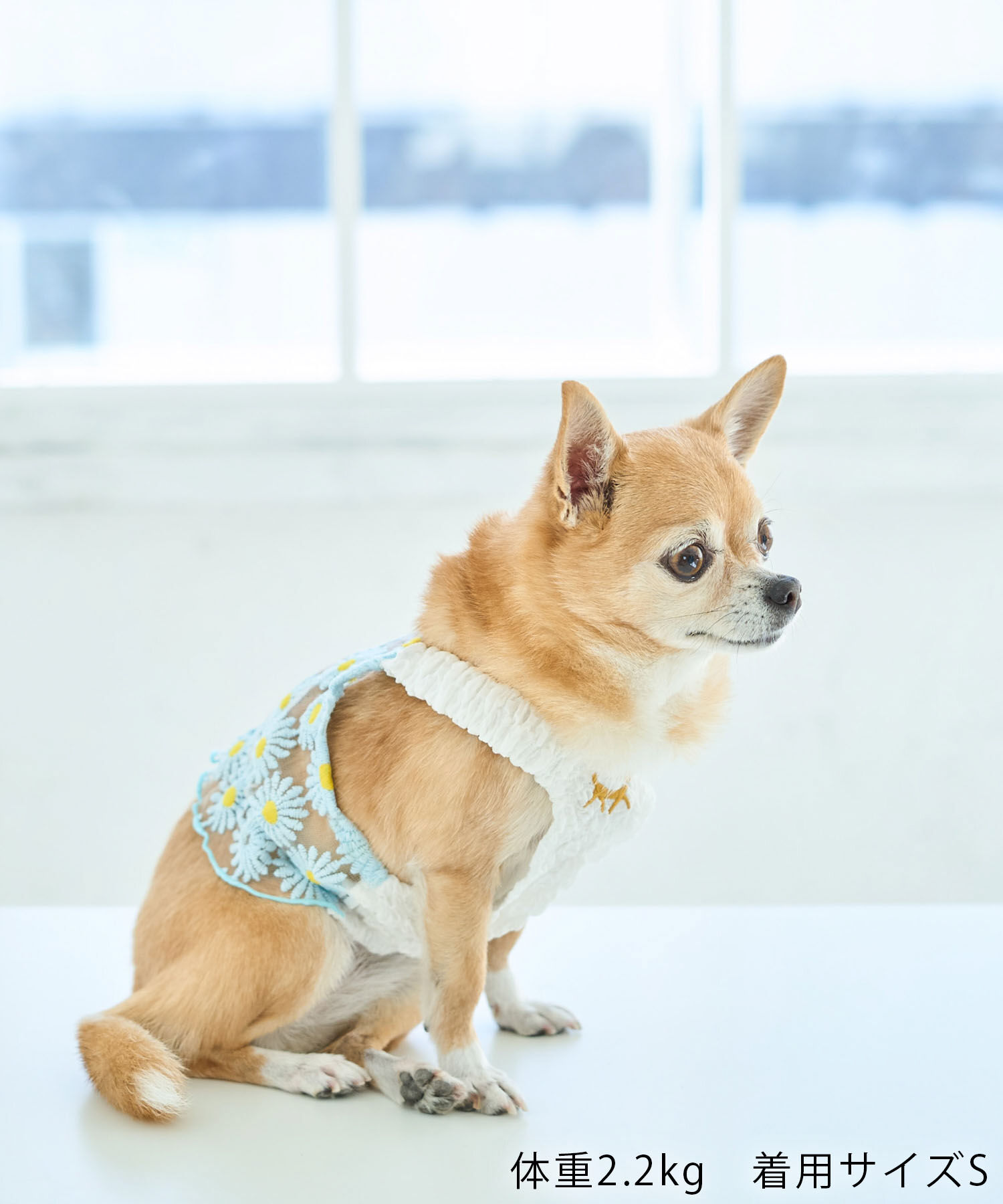 ROPE PICNIC PASSAGE「【DOG】フラワーキャミソール」|その他|