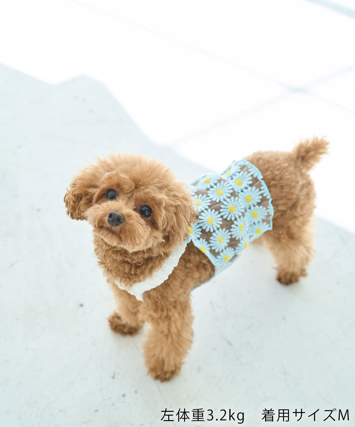 ROPE PICNIC PASSAGE「【DOG】フラワーキャミソール」|その他|