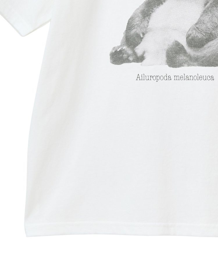 Green Parks「・DOUBLE FLAGS アニマルプリントTEE」|Tシャツ・カットソー|