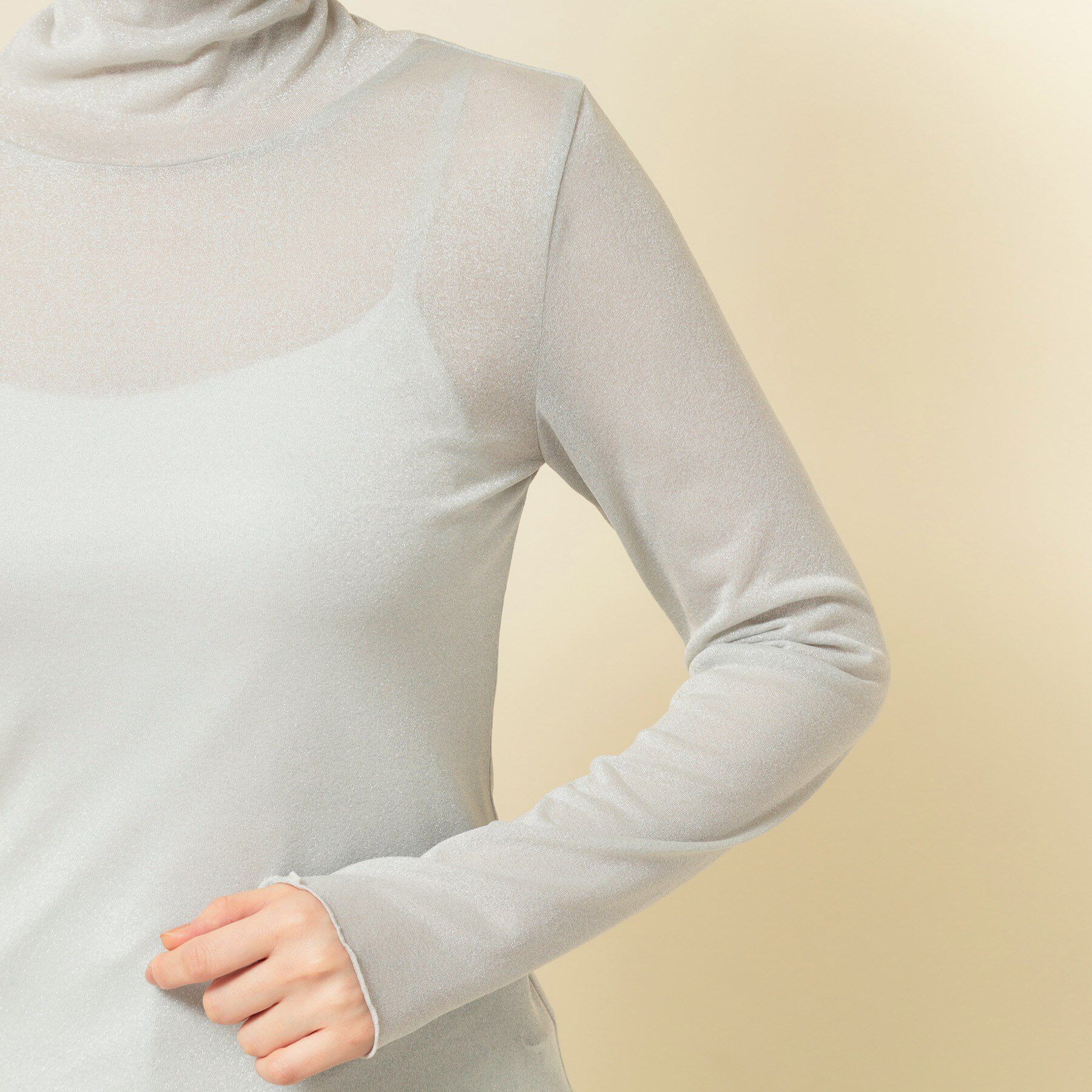 SunaUna「【ラメ／シアー】ハイネックカットソー」|Tシャツ・カットソー|