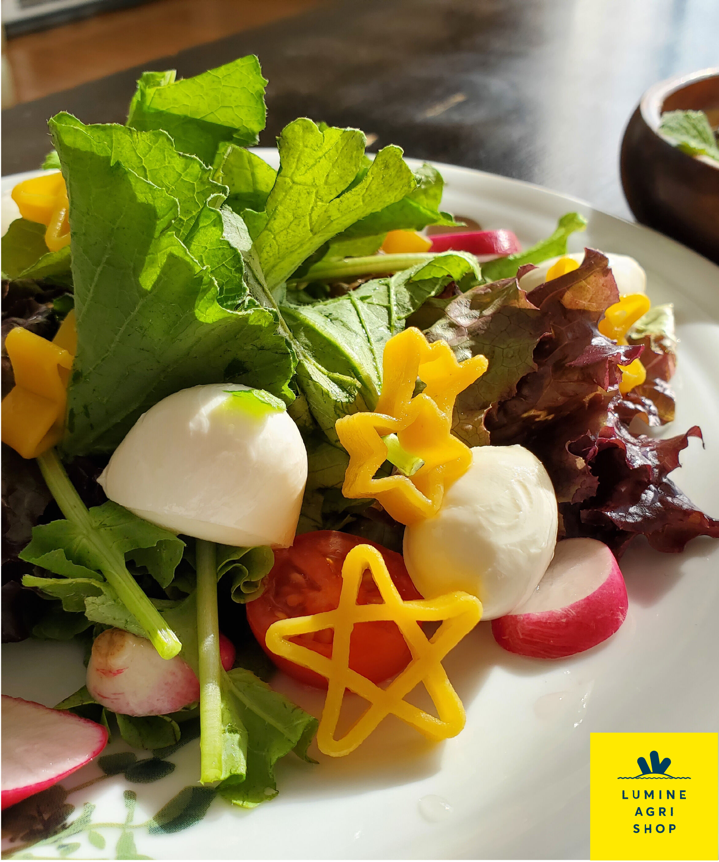 LUMINE AGRI SHOP「キュートなパスタセット」|麺類|