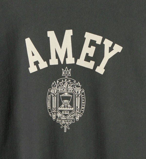 BEAUTY&YOUTH UNITED ARROWS「＜Americana＞ロゴスウェット プルオーバー」|スウェット・ジャージ|