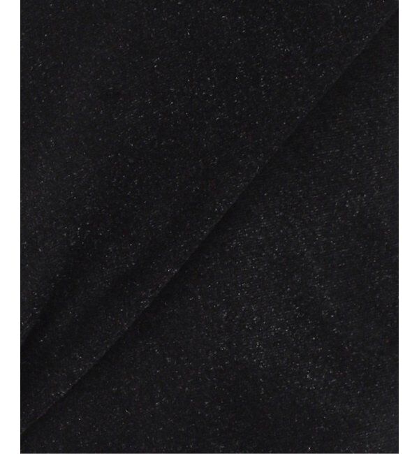 SLOBE IENA「ベロアTシャツ」|Tシャツ・カットソー|