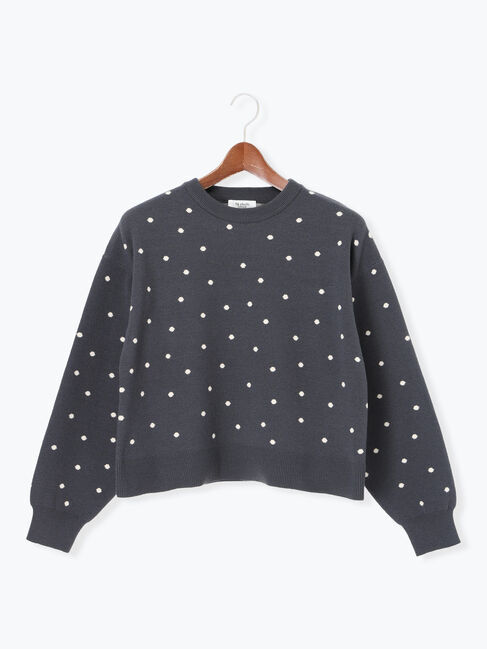 Te chichi TERRASSE「ドットジャカードクルーネックニット」|ニット・セーター|