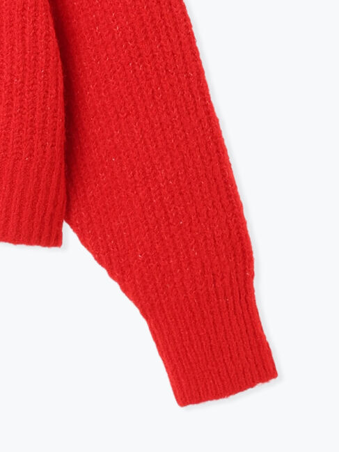 Te chichi「【R by Te chichi】畦編みショートニット《2025winter catalog item》」|ニット・セーター|