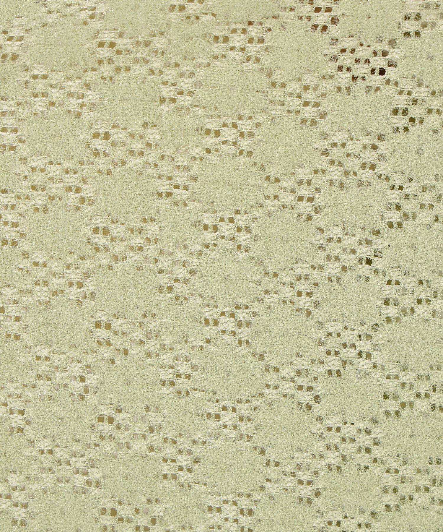  「起毛レースシャツ」|Tシャツ・カットソー|