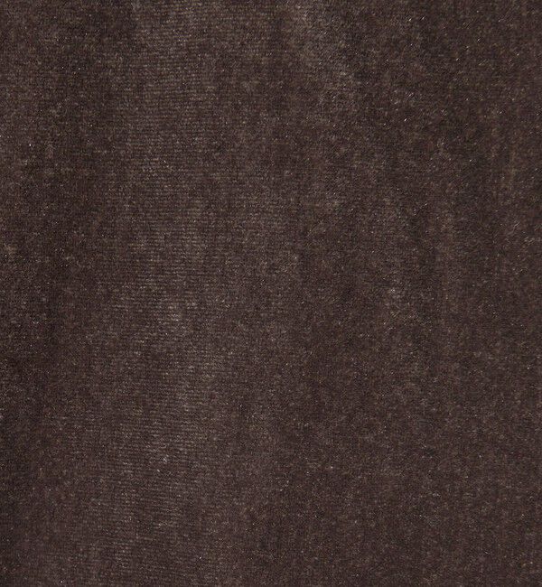 STEVEN ALAN「＜Steven Alan＞ベロア カシュクール ベスト」|ベスト・ジレ|