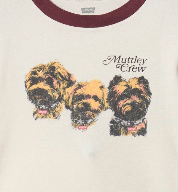 BEAUTY&YOUTH UNITED ARROWS「【国内EXCLUSIVE】＜Levi's＞SPORTY Tシャツ」|Tシャツ・カットソー|